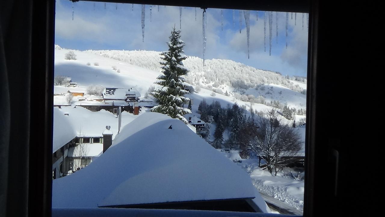 Apartment Happy Big Family Oberried (Breisgau)